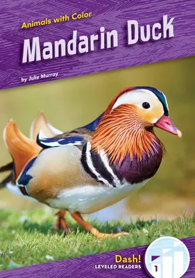 Kačica mandarínska - Mandarin Duck