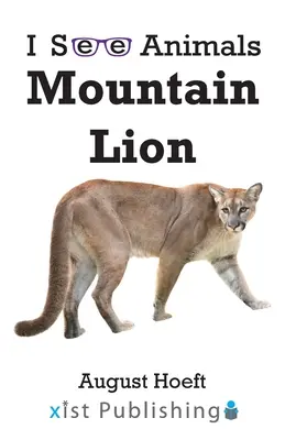 Horský lev - Mountain Lion