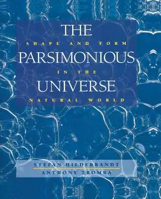Parsimoniálny vesmír: Tvar a forma v prírodnom svete - The Parsimonious Universe: Shape and Form in the Natural World