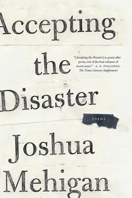 Prijatie katastrofy: Básne - Accepting the Disaster: Poems