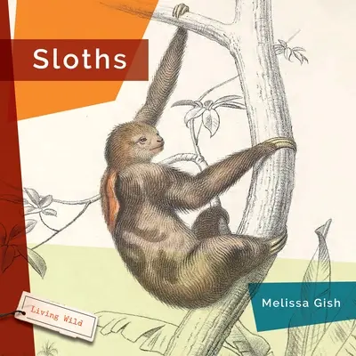 Leňochodi - Sloths
