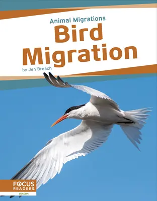 Migrácia vtákov - Bird Migration