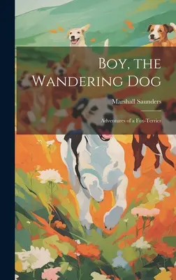 Chlapec, túlavý pes; dobrodružstvá foxteriéra - Boy, the Wandering dog; Adventures of a Fox-terrier