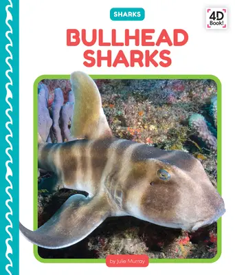 Žraloky s býčou hlavou - Bullhead Sharks