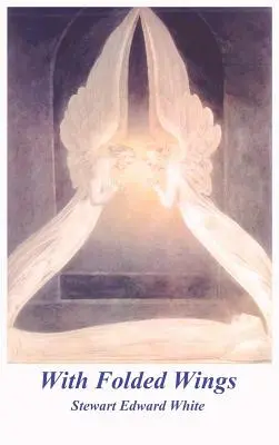 So zloženými krídlami - With Folded Wings