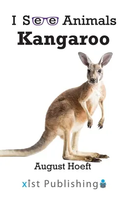 Klokan - Kangaroo