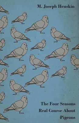 Štyri ročné obdobia Skutočný kurz o holuboch - The Four Seasons Real Course About Pigeons