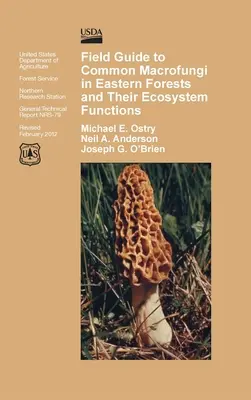 Terénny sprievodca bežnými makroskopickými hubami vo východných lesoch a ich ekosystémovou funkciou - Field Guide to Common Macrofungi in Eastern Forests and Their Ecosystem Function
