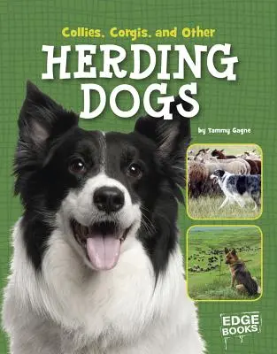 Kolie, korgie a iné pastierske psy - Collies, Corgies, and Other Herding Dogs