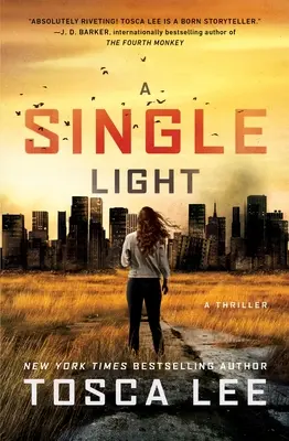 Jediné svetlo: A Thriller - A Single Light: A Thriller