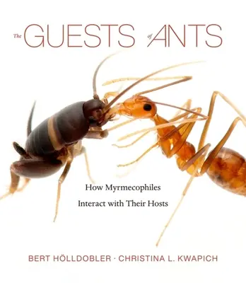 Hostia mravcov: Ako myrmekofily komunikujú so svojimi hostiteľmi - The Guests of Ants: How Myrmecophiles Interact with Their Hosts
