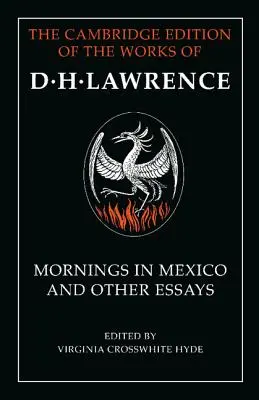 Ráno v Mexiku a iné eseje - Mornings in Mexico and Other Essays