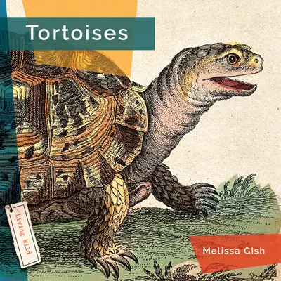korytnačky - Tortoises