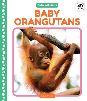 Mláďatá orangutanov - Baby Orangutans