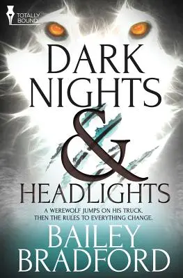 Tmavé noci a svetlomety - Dark Nights and Headlights