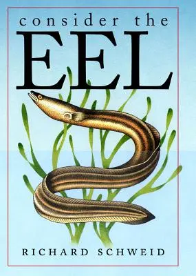 Zvážte úhora - Consider the Eel