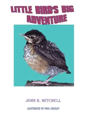 Veľké dobrodružstvo malého vtáčika - Little Bird's Big Adventure