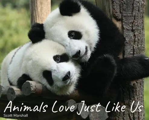 Zvieratá milujú rovnako ako my - Animals Love Just Like Us