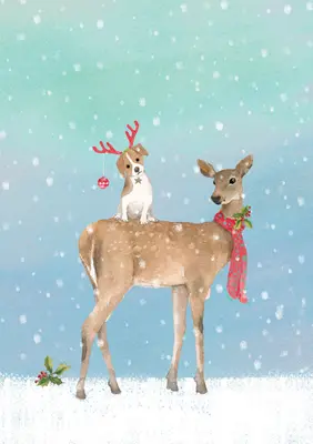 Zimní priatelia Malé prázdninové pohľadnice v krabičke - Winter Friends Small Boxed Holiday Cards