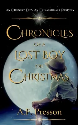 Kroniky strateného chlapca na Vianoce - Chronicles of a Lost Boy on Christmas
