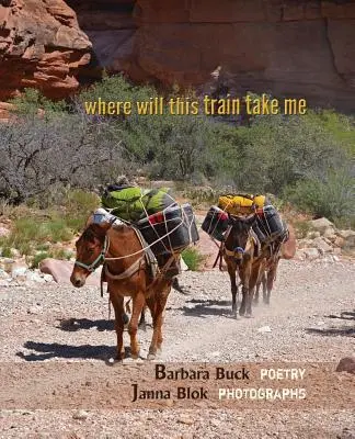 Kam ma tento vlak zavezie - where will this train take me