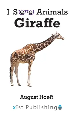 Žirafa - Giraffe