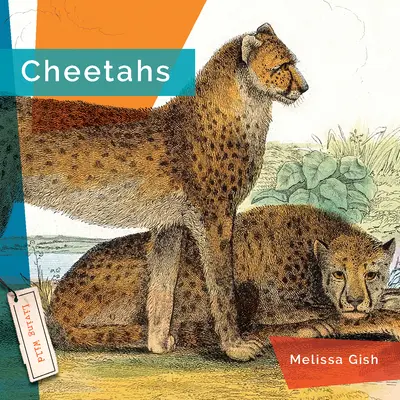 Gepardi - Cheetahs