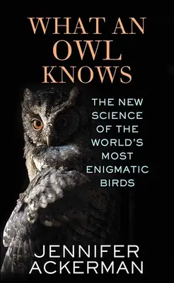 Čo vie sova - What an Owl Knows