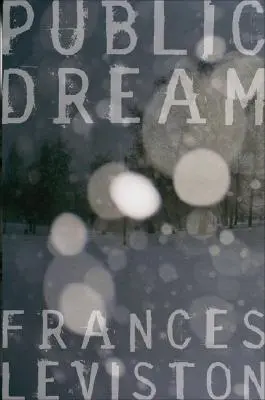 Verejný sen - Public Dream
