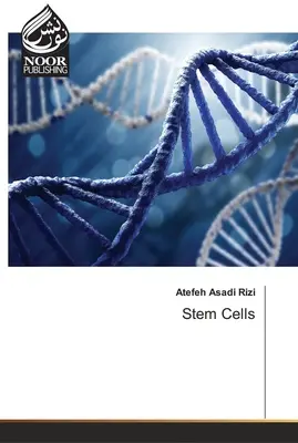 Kmeňové bunky - Stem Cells