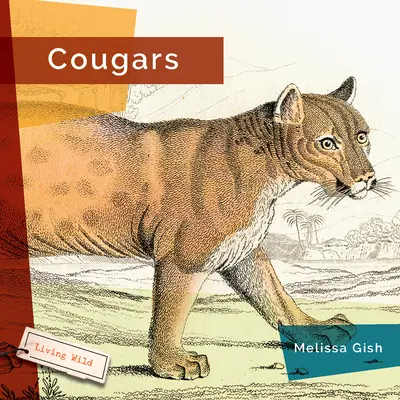 Pumy - Cougars