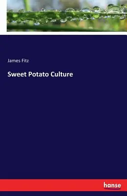 Kultúra sladkých zemiakov - Sweet Potato Culture