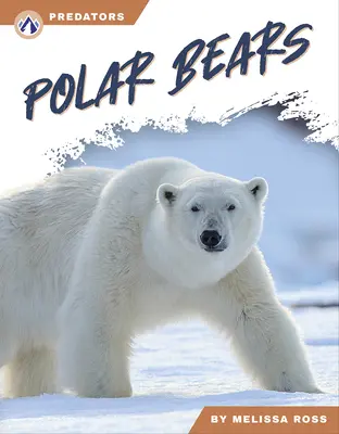 Ľadové medvede - Polar Bears