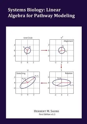 Systémová biológia: Lineárna algebra pre modelovanie ciest - Systems Biology: Linear Algebra for Pathway Modeling