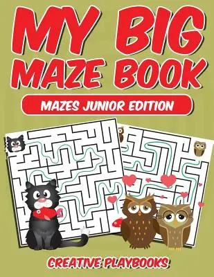 Moja veľká kniha bludísk Mazes Junior Edition - My Big Maze Book Mazes Junior Edition
