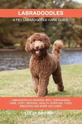 Labradoodles: Labradoodles Všeobecné informácie, nákup, starostlivosť, náklady, chov, zdravie, zásoby, krmivo, chov a ďalšie informácie! Domáci miláčik - Labradoodles: Labradoodles General Info, Purchasing, Care, Cost, Keeping, Health, Supplies, Food, Breeding and More Included! A Pet