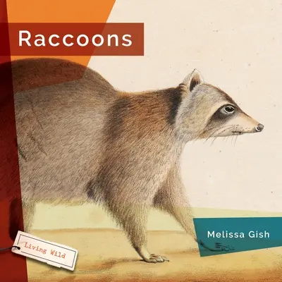 Mývalovia - Raccoons