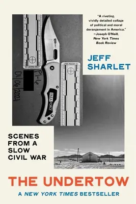 Podväzok: Scény z pomalej občianskej vojny - The Undertow: Scenes from a Slow Civil War