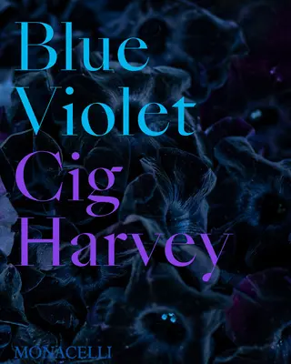 Modrá fialová - Blue Violet