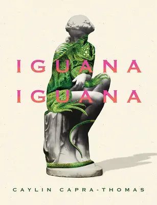 Leguán Leguán - Iguana Iguana