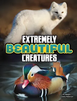Mimoriadne krásne tvory - Extremely Beautiful Creatures