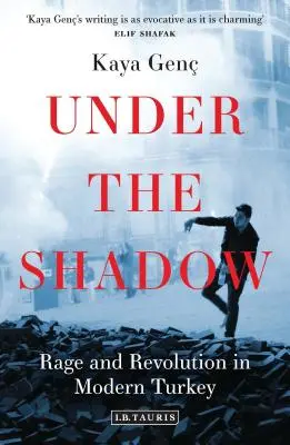 V tieni: Hnev a revolúcia v modernom Turecku - Under the Shadow: Rage and Revolution in Modern Turkey