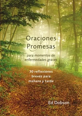 Oraciones y promesas Modlitby a sľuby v mäkkom obale Keď čelíte život ohrozujúcej chorobe - Oraciones y promesas Softcover Prayers and Promises When Facing a Life-Threatening Illness