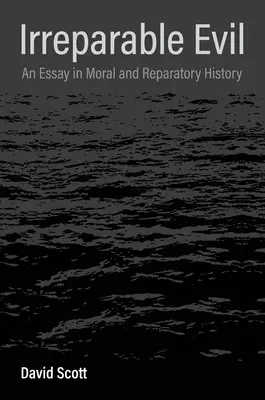 Nenapraviteľné zlo: Esej o morálnych a reparačných dejinách - Irreparable Evil: An Essay in Moral and Reparatory History