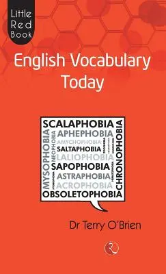 Malá červená kniha Anglická slovná zásoba dnes - Little Red Book English Vocabulary Today