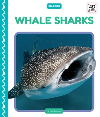 Žraloky veľrybie - Whale Sharks