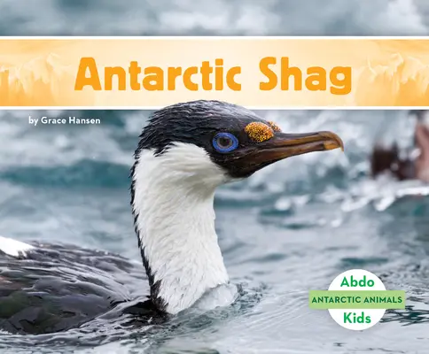 Antarktída - Antarctic Shag