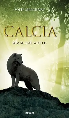 Calcia: Kalkata: Magický svet: Kalkata: Kalkata: Kalkata: Kalkata: Magický svet - Calcia: A Magical World