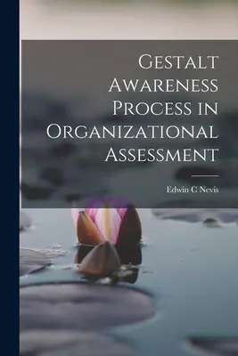 Gestalt proces uvedomovania si v hodnotení organizácie - Gestalt Awareness Process in Organizational Assessment