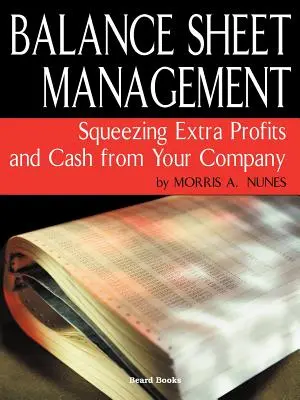 Riadenie bilancie - Balance Sheet Management